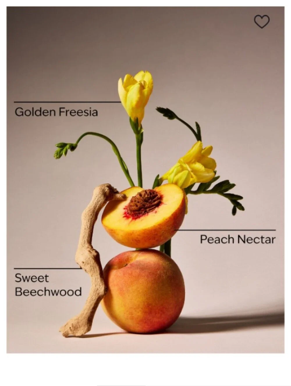 Peach Blossom & Nectar Daily Nourishing Body Lotion - Peach